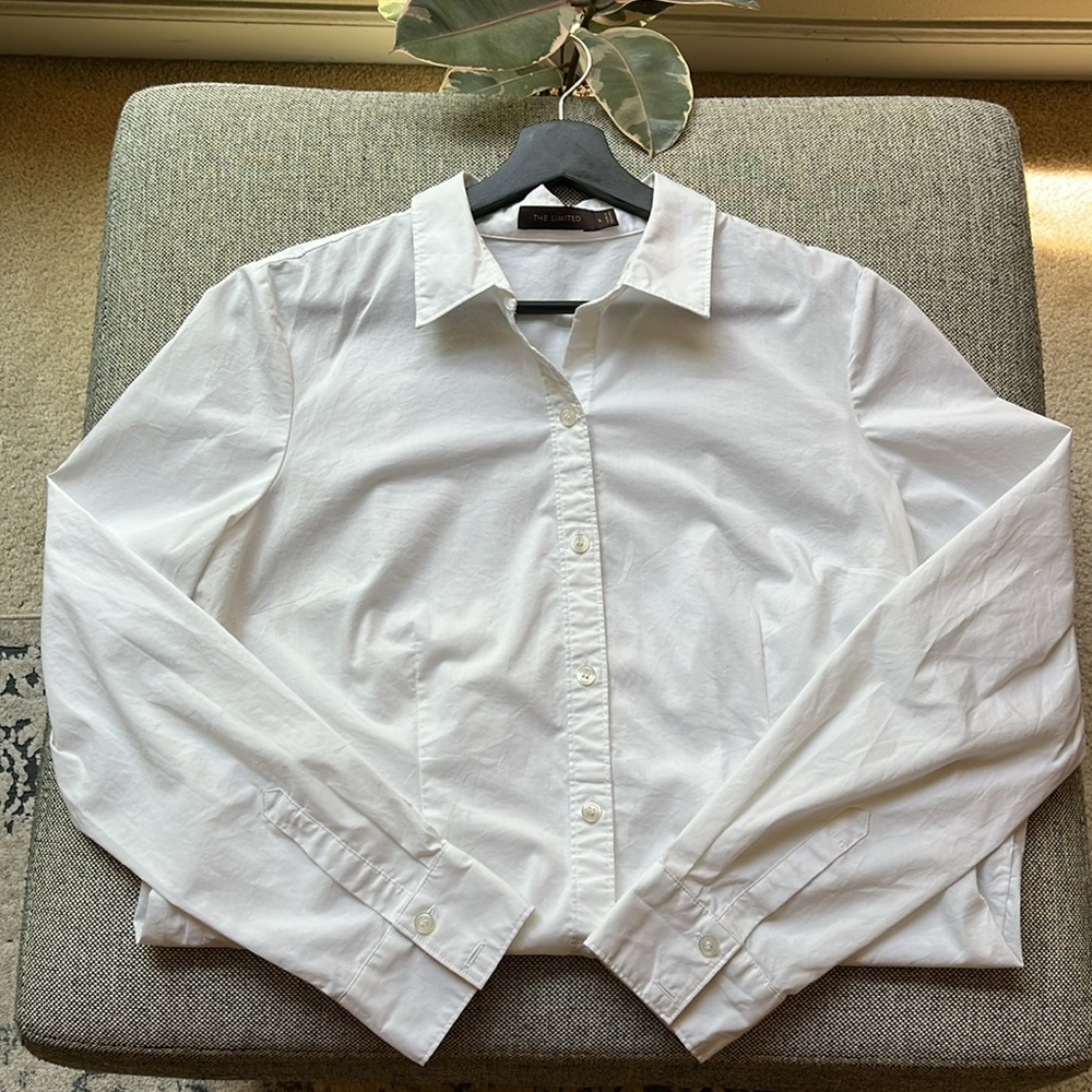 🤍 The Limited, Vintage White Fitted Sheer Long Sleeve Blouse , Size: L
